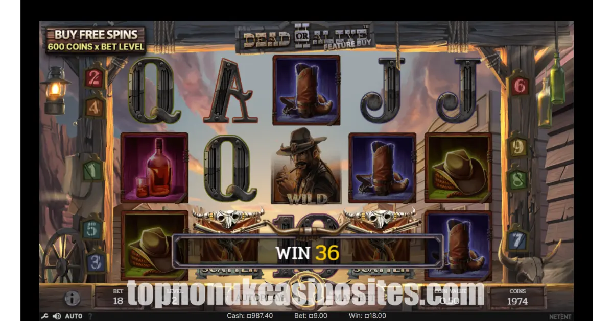 Dead or Alive 2 slot — play at non UK casinos not on Gamstop